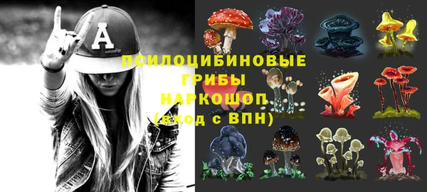крисы Зеленокумск
