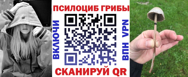 Псилоцибиновые грибы прущие грибы  Черноголовка 